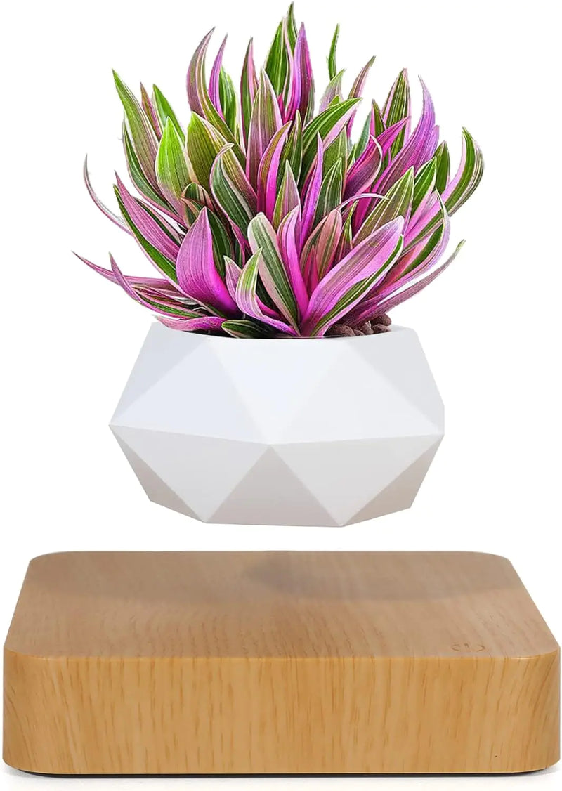 LeviFlora Floating Plant Pot